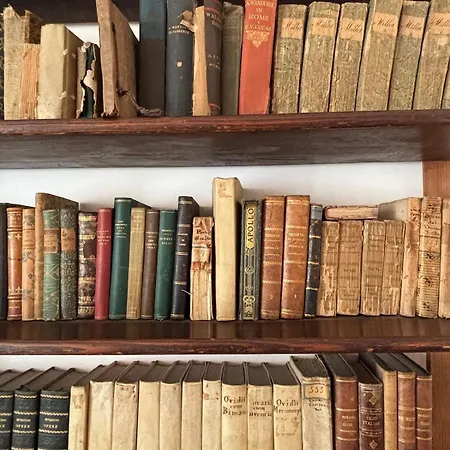 The Writer's House
