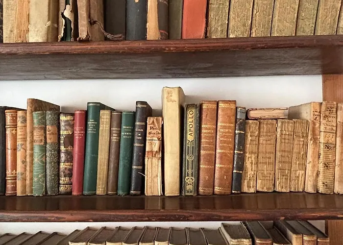 The Writer's House